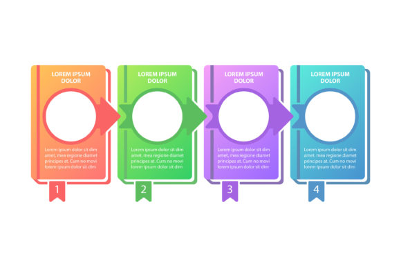 Graphics for Educational Program Infographic